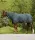 NYAKRÉSZ WALDHAUSEN COMFORT TAKARÓHOZ