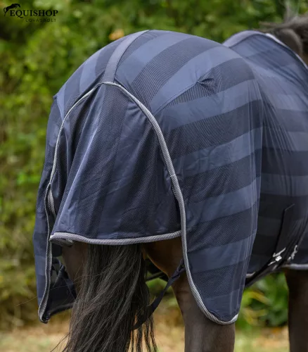 TAKARÓ WALDHAUSEN LÉGY ECONOMIC KERESZTPÁNTOS