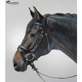 KANTÁR STAR LIFESTYLE