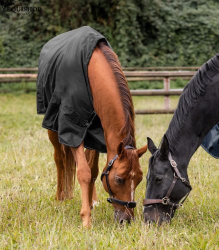 TAKARÓ WALDHAUSEN KARÁM NORDIC 300G
