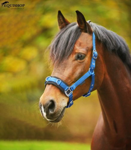 KAPICÁN WALDHAUSEN ECONOMIC