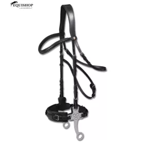 KANTÁR WALDHAUSEN HACKAMORE