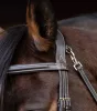 KANTÁR WALDHAUSEN WORK