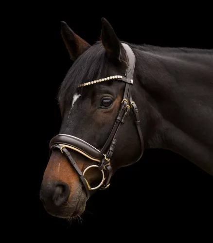 KANTÁR WALDHAUSEN IVORY