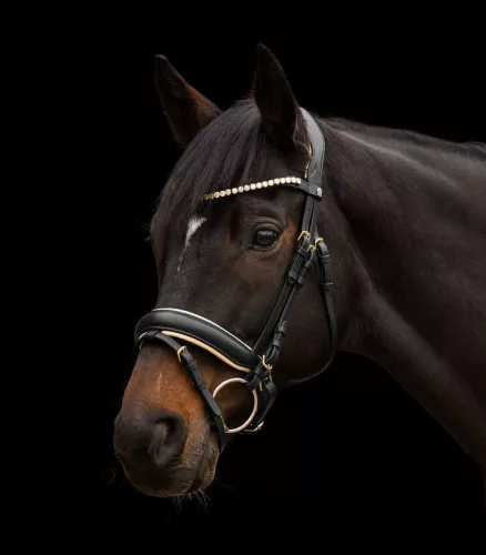 KANTÁR WALDHAUSEN IVORY