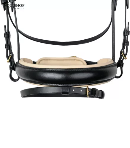 KANTÁR WALDHAUSEN IVORY