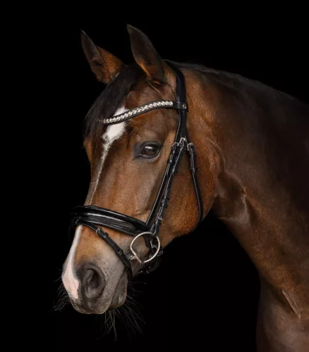 KANTÁR WALDHAUSEN EVERMORE II