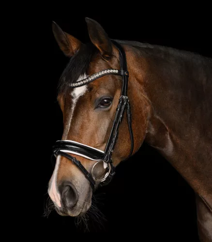 KANTÁR WALDHAUSEN EVERMORE II