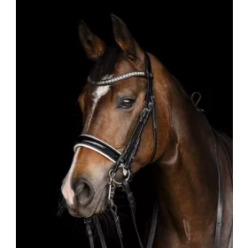 KANTÁR WALDHAUSEN EVERMORE