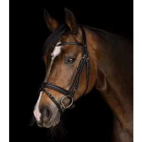 KANTÁR WALDHAUSEN CHARMBIT