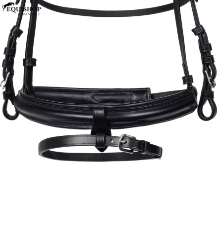 KANTÁR WALDHAUSEN CHARMBIT