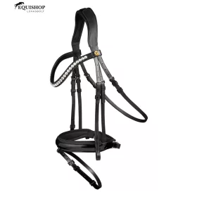 KANTÁR WALDHAUSEN TIMELESS