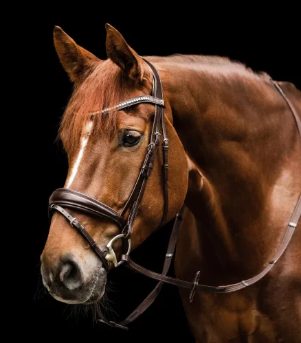 KANTÁR WALDHAUSEN ESSENTIAL