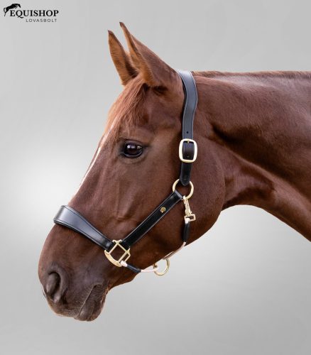 KÖTŐFÉK WALDHAUSEN ROYAL BŐR