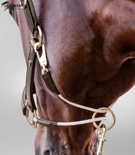 KÖTŐFÉK WALDHAUSEN ROYAL BŐR