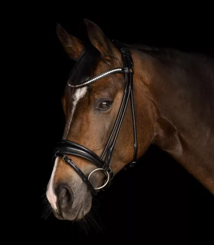 KANTÁR WALDHAUSEN GRACE