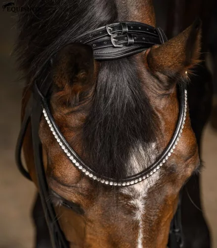 KANTÁR WALDHAUSEN GRACE