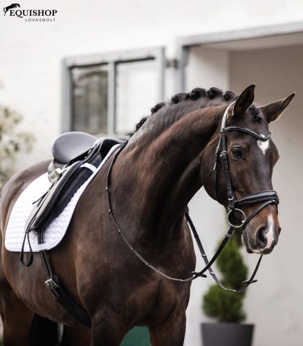 NYEREGALÁTÉT WALDHAUSEN CLASSIC