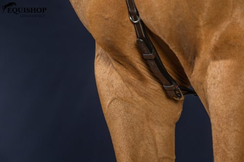 SZÜGYELŐ DYON WORKING BRIDGE