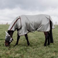 Legyek elleni védelem