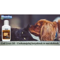 Táplálék kiegészítők és tápok kutyáknak és macskáknak