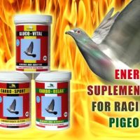 Termékek galamboknak