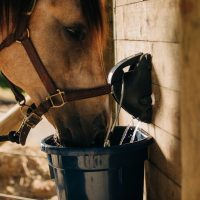 Itatók lovaknak