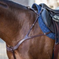 Szügyelő és martingál