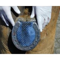 Egyéb pataápoló termékek