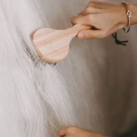 Sörényápolás: Sörényfény, sampon és sörénygumi