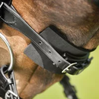 Egyéb tartozékok kantárhoz