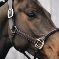 Kötőfékek, vezetőszárak és egyéb kiegészítők