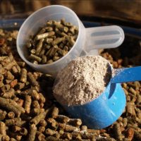 Táplálék kiegészítők, tápok és jutalomfalatok