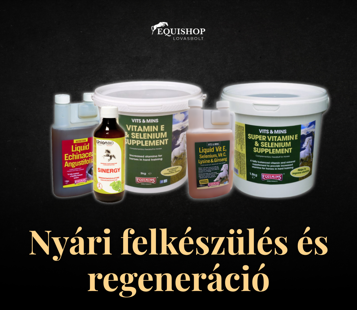 Nyári felkészülés és regeneráció – így támogasd lovadat kívül-belül