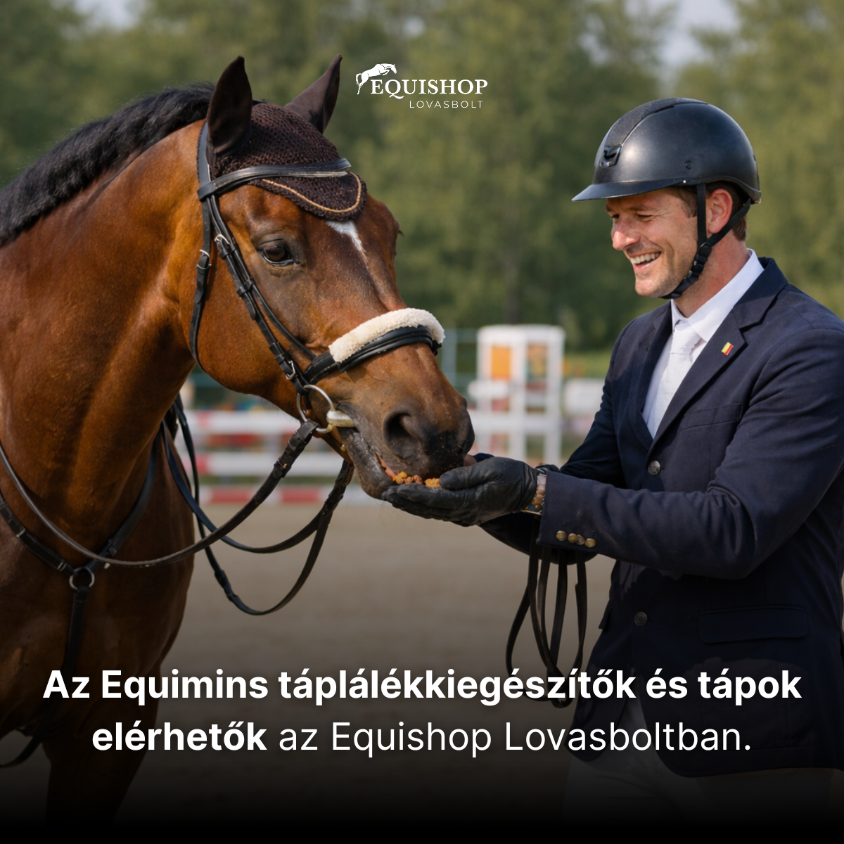 Az elektrolitok szerepe a lovak egészségében – miért nem csak nyáron fontos a pótlás?