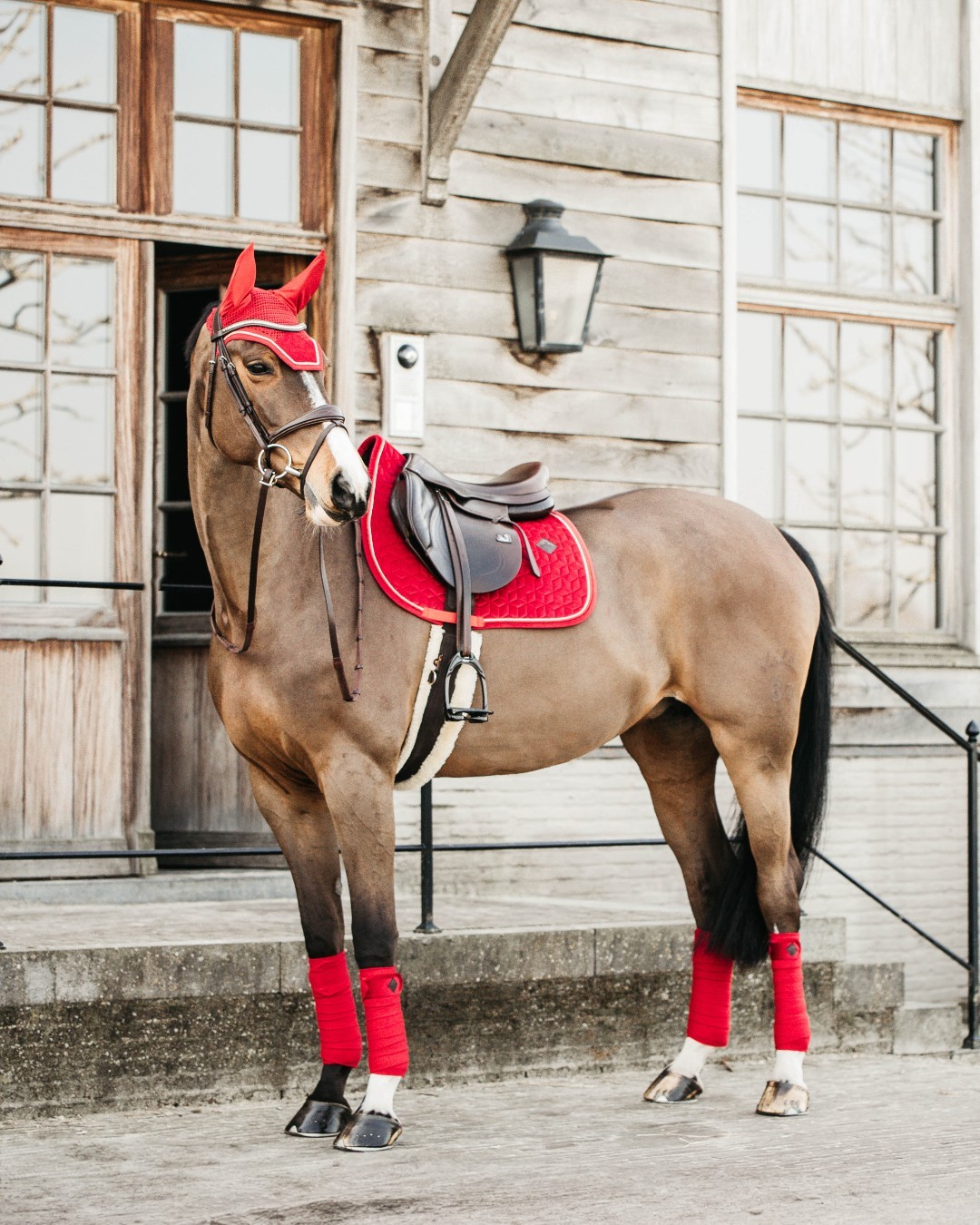Kentucky nyeregalátétek – prémium kényelem és elegancia a ló és a lovas számára
