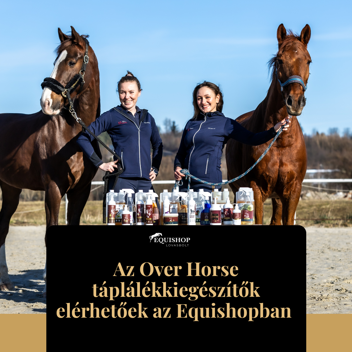 Tavaszi vitalitás a lovaknak: miért érdemes az Over Horse termékeket választani?