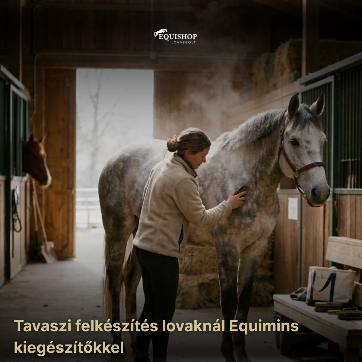Tavaszi felkészítés lovaknál – vedlés, anyagcsere támogatás és szőrzetregenerálás